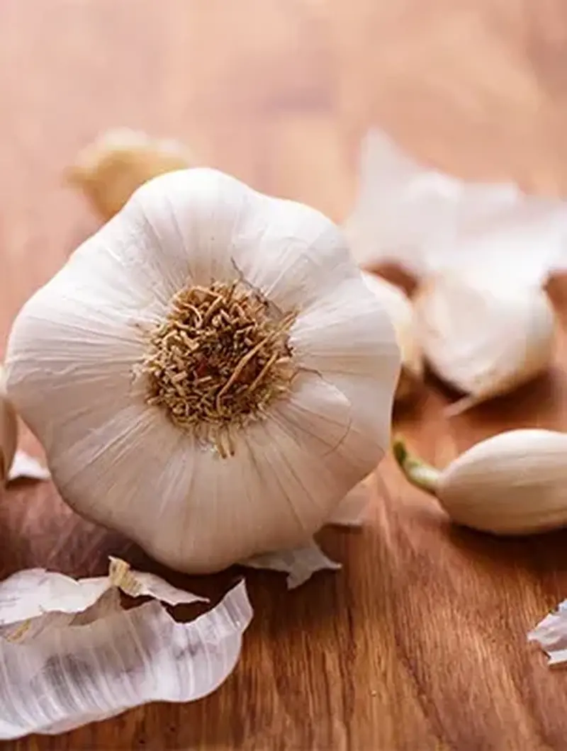 Studi Ungkap Bawang Putih Ternyata Bisa Jadi Mouthwash Alami Lawan Bakteri