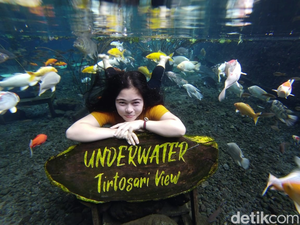Selfie Keren di Spot Foto Underwater Tirtosari Lumajang
