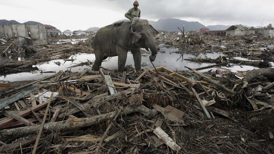 Dua dekade telah berlalu sejak gelombang tsunami dahsyat melanda Aceh pada 26 Desember 2004. (AP Photo/Eugene Hoshiko, File) Dua dekade telah berlalu sejak gelombang tsunami dahsyat melanda Aceh pada 26 Desember 2004. (AP Photo/Eugene Hoshiko, File)