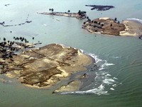 2.000 Orang Tewas Dihantam Tsunami 100 Meter, Ini Peringatan BMKG