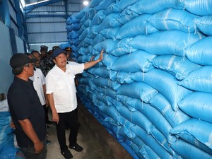 Tingkatkan Produksi, KKP Usul Revitalisasi Tambak Garam di Indramayu