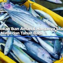KKP Pastikan Pasokan Ikan Aman & Harganya Stabil saat Natal dan Tahun