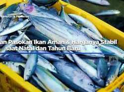 KKP Pastikan Pasokan Ikan Aman & Harganya Stabil saat Natal dan Tahun