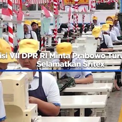 Komisi VII DPR RI Minta Prabowo Turun Tangan Selamatkan Sritex