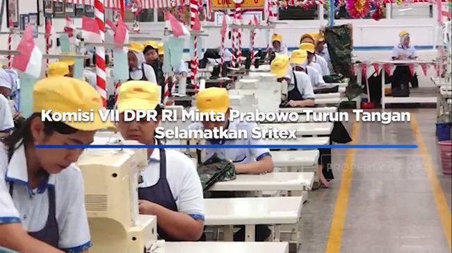 Komisi VII DPR RI Minta Prabowo Turun Tangan Selamatkan Sritex