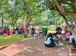 Kesan Disabilitas Pengguna Kursi Roda Mengitari Kebun Binatang Ragunan