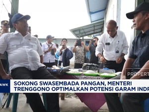 Video: Demi Swasembada, Menteri KP Optimalkan Potensi Garam Indramayu