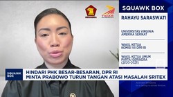 Video: DPR 