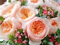 5 Bunga Termahal di Dunia, Ada yang Harganya Ratusan Miliar Rupiah!