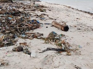 Polisi Jelaskan Alasan Kubur Potongan Tubuh di Pantai Selayar Tanpa Autopsi