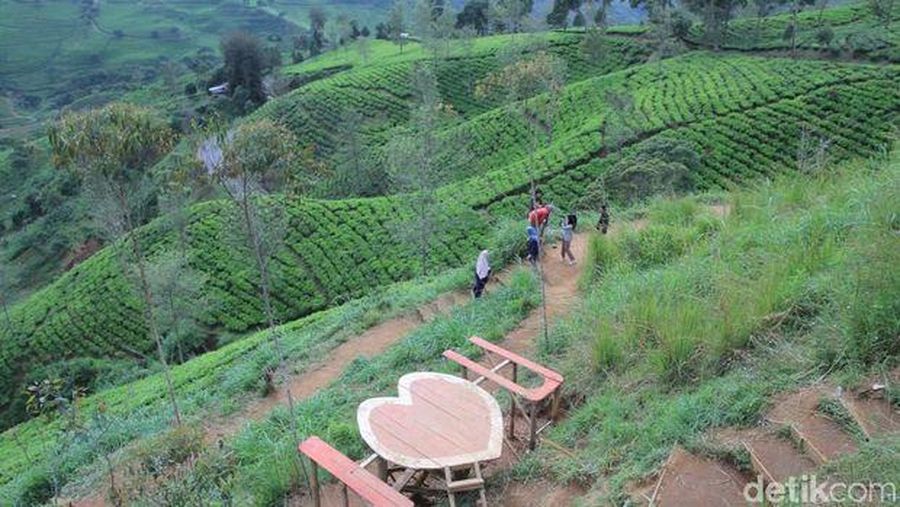 Pangalengan, Bandung. (Detikcom)
