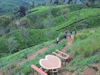 Bandung Pernah Diguncang Gempa M 5, Ada Hubungannya dengan Megathrust?