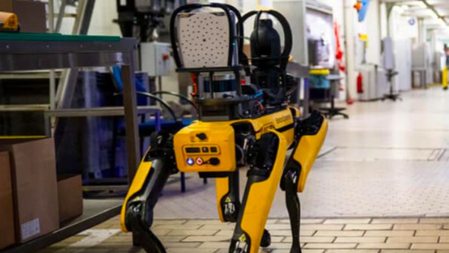 Spot robot. (Dok. bostondynamics.com)