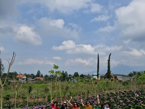 Cantiknya Wisata Dusun Kuliner Kota Batu, Serasa di Negeri Dongeng