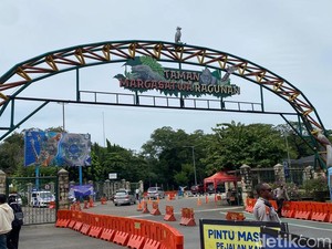 Legislator DKI Setuju Ragunan Buka Malam, Minta Dibuat Seperti Taman Safari