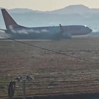 Begini Potret Momen Detik-detik Kecelakaan Pesawat Jeju Air Korsel