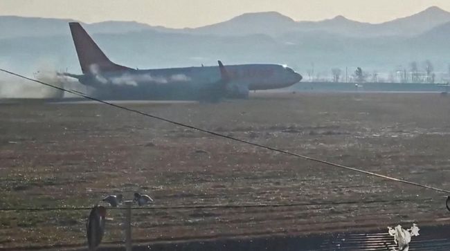 Pesan Terakhir Penumpang Jeju Air: Burung Tersangkut di Sayap