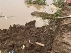 2 Rumah di Soppeng Ambruk-Jatuh ke Sungai Walanae Akibat Erosi