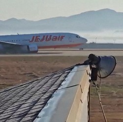 Ahli Pertanyakan Bagaimana Burung Buat Kecelakaan Pesawat Jeju Air
