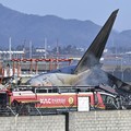 Serangan Burung Penyebab Kecelakaan Maut Jeju Air? Ini Faktanya
