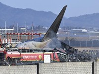 Serangan Burung Penyebab Kecelakaan Maut Jeju Air? Ini Faktanya