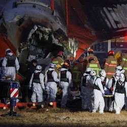 Mengenal Pesawat Boeing 737-800 Jeju Air, Jet Populer Maskapai Dunia