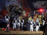 Mengenal Pesawat Boeing 737-800 Jeju Air, Jet Populer Maskapai Dunia