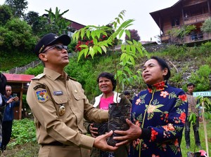 Pj Gubernur Sulsel Salurkan 6,5 Juta Bibit Tanaman Hortikultura Selama 2024
