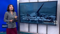 Video: Petaka Pesawat Jeju Air, Boeing Tersengat 