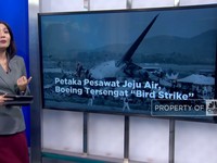 Video: Petaka Pesawat Jeju Air, Boeing Tersengat 