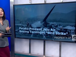 Video: Petaka Pesawat Jeju Air, Boeing Tersengat "Bird Strike"