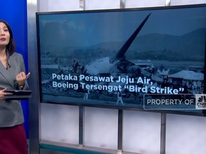  Petaka Pesawat Jeju Air, Boeing Tersengat 