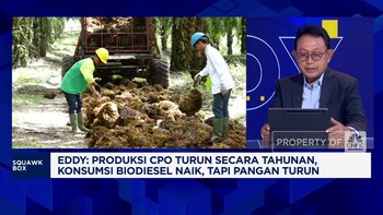 Video: Kilas Balik Industri Sawit RI di 2024