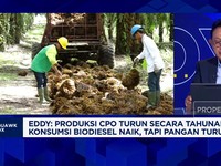 Video: Kilas Balik Industri Sawit RI di 2024