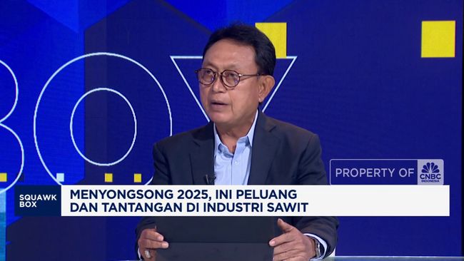 Pengusaha Ungkap Peluang Industri Sawit di 2025