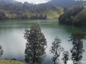 Masuk Tanpa Tiket, Pemandu Masuk Daftar Hitam TN Bromo Tengger Semeru