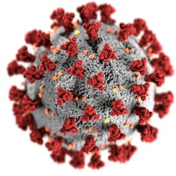 Fakta Wabah Virus HMPV China: Apa Itu, Kasus Tetangga RI & Eks Dir WHO