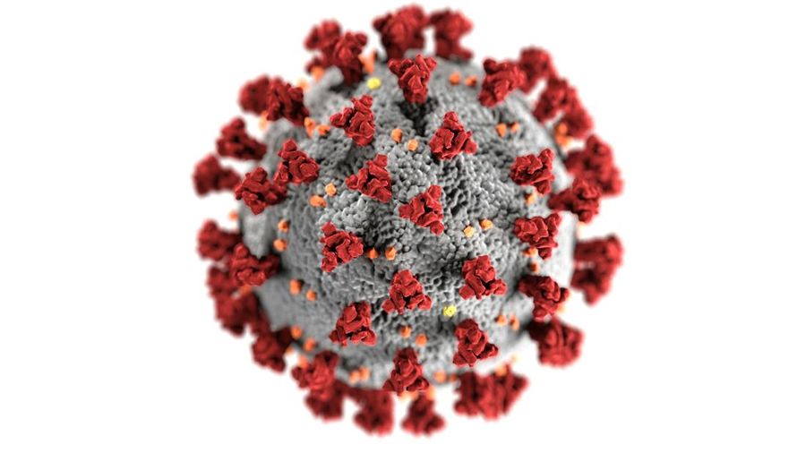 Ilustrasik Virus. (Pexels)