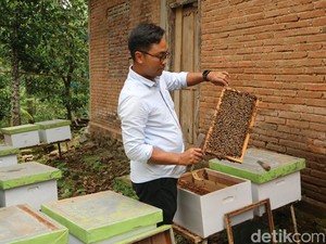 Mengunjungi Desa Penghasil Madu di Pati, 12 Ton Setahun-Dikirim hingga Riau