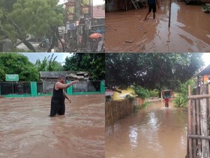 Awal 2025, Kabupaten Bima Diterjang Banjir dan Pohon Tumbang