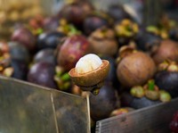 Catat! 5 Hal yang Tak Boleh Dilakukan Saat Makan Manggis