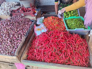 Daftar Harga Bahan Pangan di Awal 2025, Telur Masih Mahal