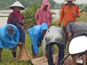Petani Sumenep Meninggal Tersambar Petir saat Pupuk Padi di Sawah
