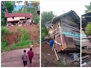 Kawanan Gajah Liar Masuk Permukiman di Lampung, Rusak 7 Rumah Warga