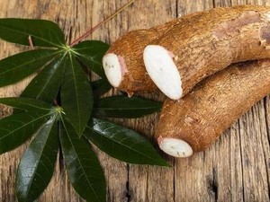 5 Makanan Paling Berbahaya di Dunia, Singkong dan Kerang Dara Masuk Daftar!