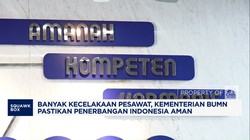 Video: Banyak Maskapai Dunia Kecelakaan, Erick: Penerbangan RI Aman