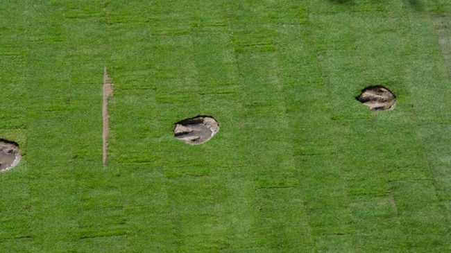 Ilmuwan Temukan Banyak Jejak Kaki Dinosaurus di Negara Ini