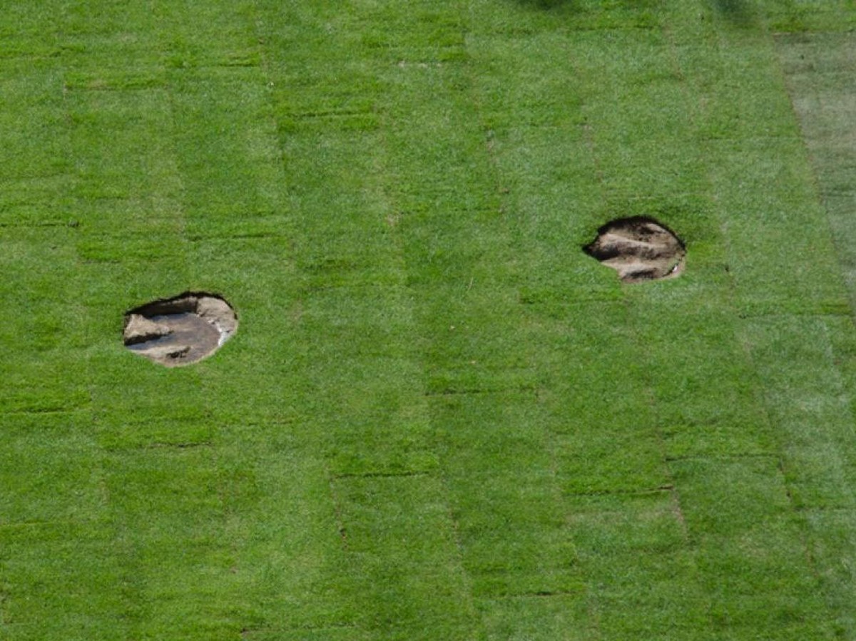 Penemuan 16.600 Jejak Kaki Dinosaurus Buktikan 'Jalan Raya' Purba di Bolivia