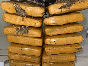 Polisi Tangkap Kurir Narkotika di Pangkalpinang, 14 Kg Ganja Disita