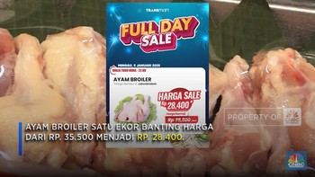 Video: Ayam Broiler di Transmart Banting Harga